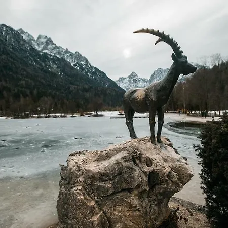 Apartma Katka Mojca *