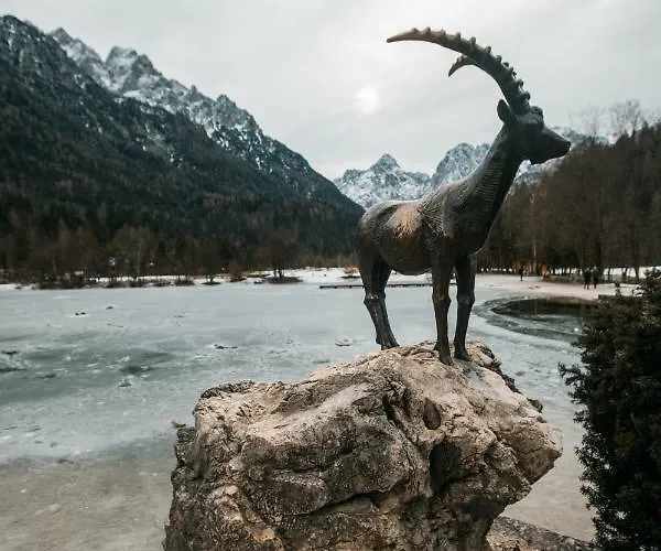 Apartma Katka Mojca *